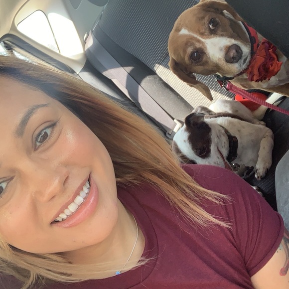 Meet your Posher, Jasmine - Picture 1 of 1